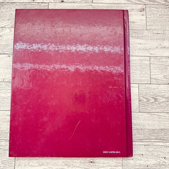 1984 Mexican Menus Great Meals in Minutes Time-Life Books Cookbook HC Vtg - Picture 11 of 13